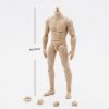 1/12 Body Figure PC006 PC007 - Image 3