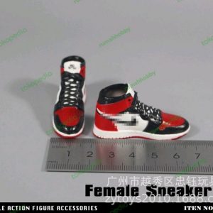 1/6 Sneakers Shoes Nike Figure